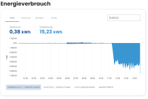 Online-Visualisierungsportal für Zähler der BlueMetering verfügbar